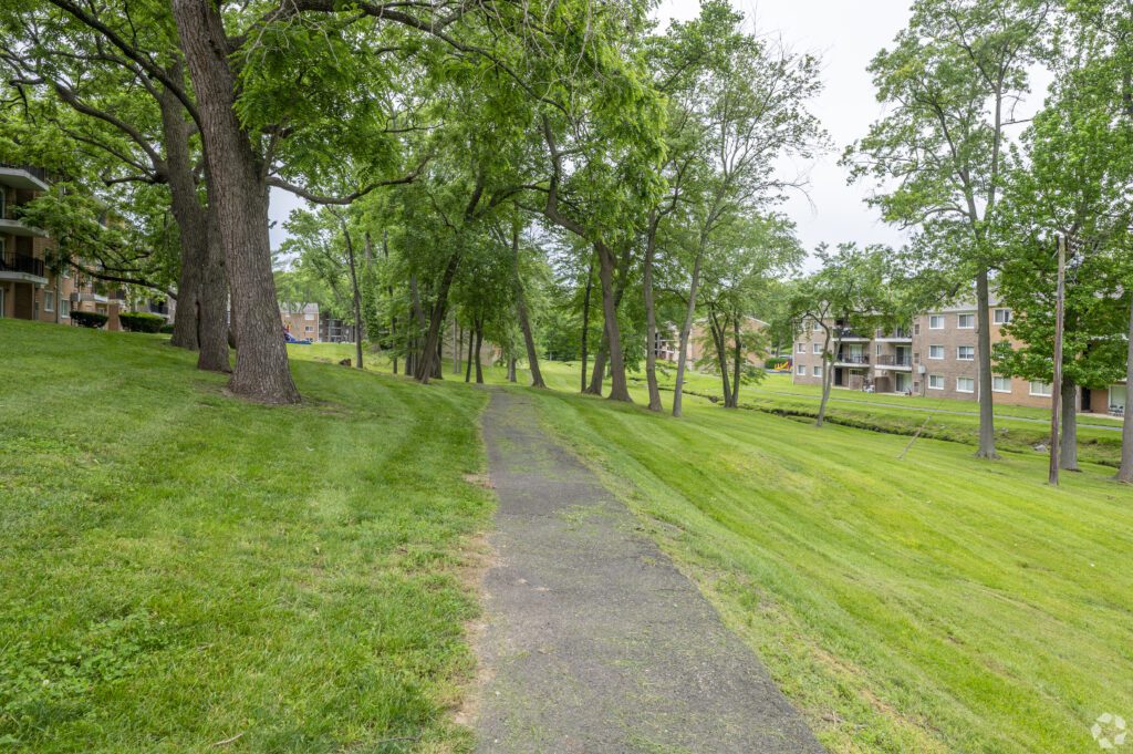 Forest Road